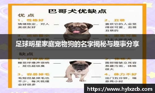 足球明星家庭宠物狗的名字揭秘与趣事分享
